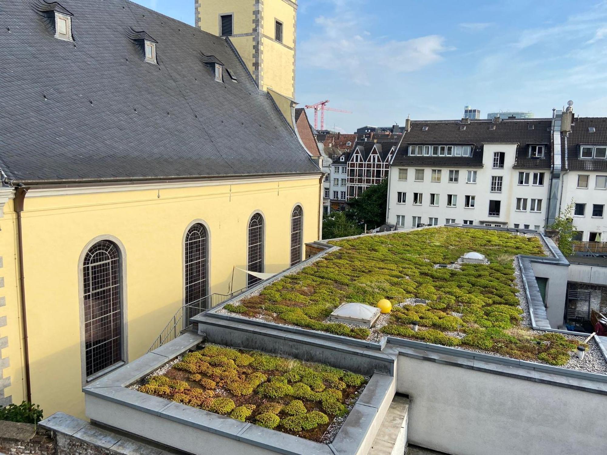 Oldtown Apartment Andreasstrasse Düsseldorf Extérieur photo